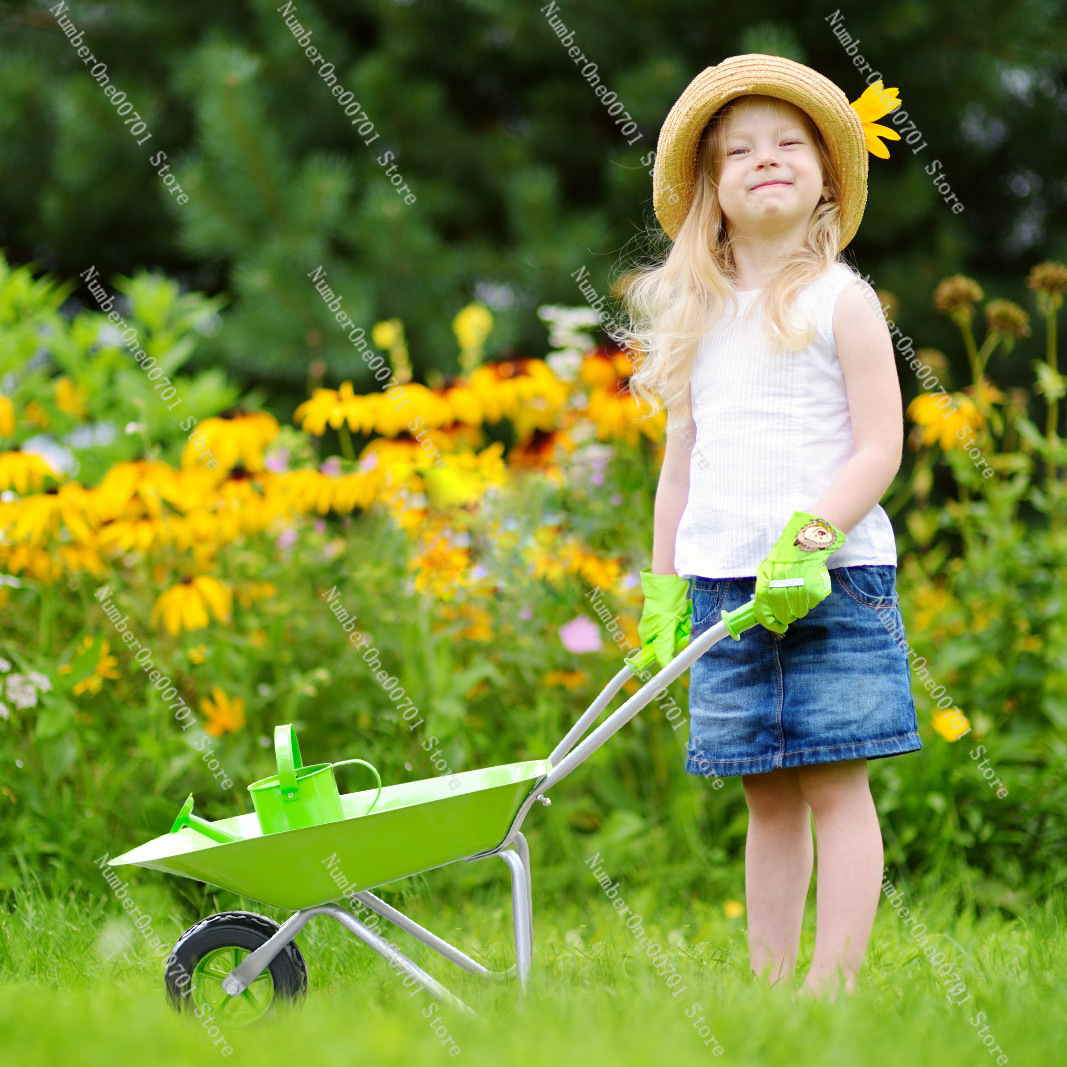 Kids Outdoor Wheelbarrow, Gree - Kids Outdoor Garden Toys recensione e prezzo